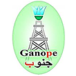 Ganoub El Wadi Petroleum Co.